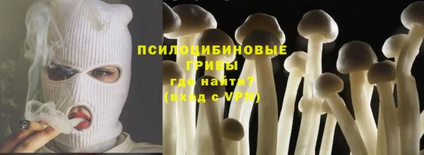 СК Белокуриха