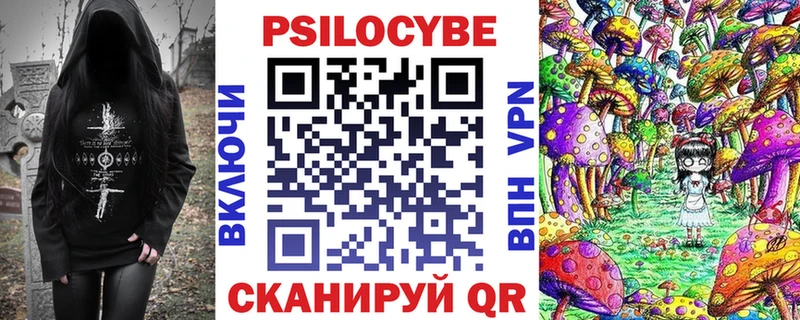 где продают   Валдай  Псилоцибиновые грибы мицелий 